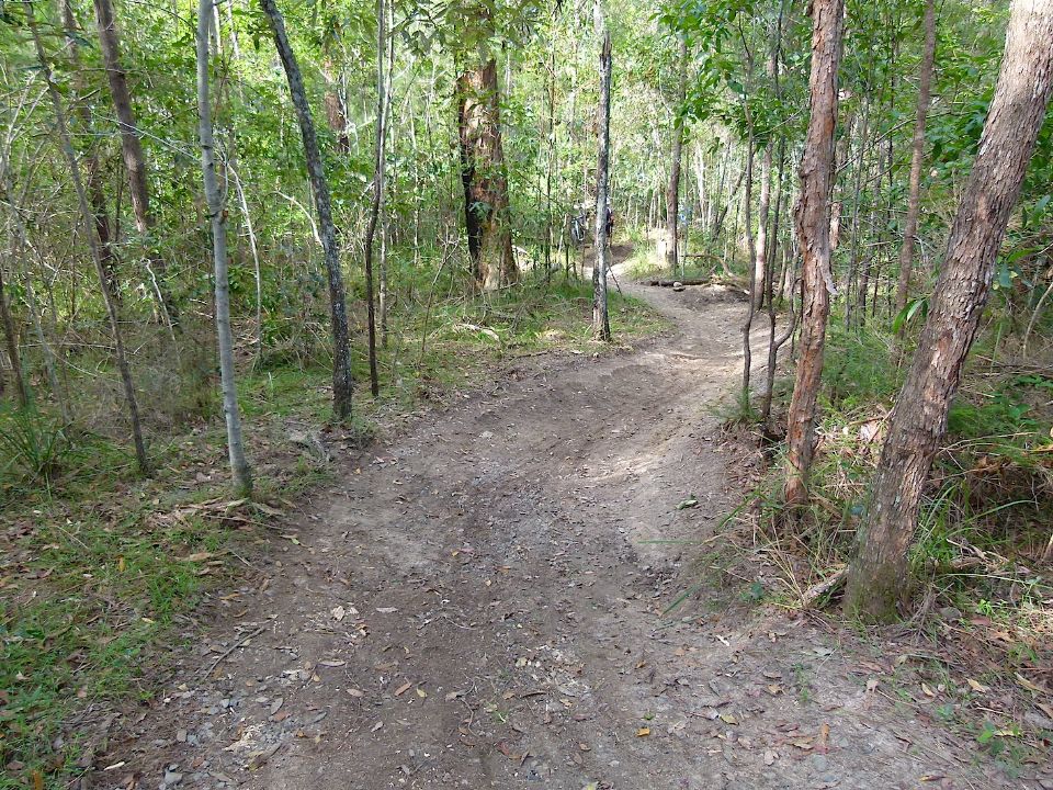 P1160429.jpg